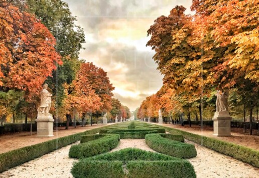 Otoño en el parque del Retiro