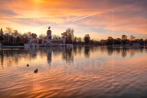 Invierno en el Estanque del Retiro
