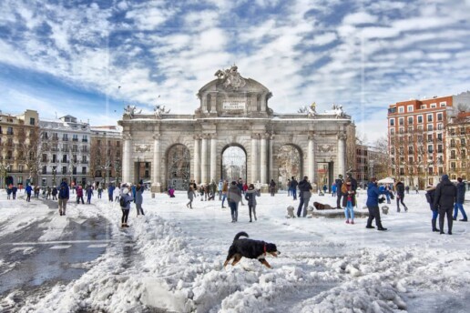Puerta de Alcalá | Filomena
