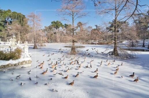Patinaje sobre hielo