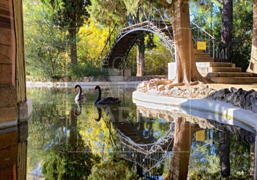 Puente de Hierro de El Capricho