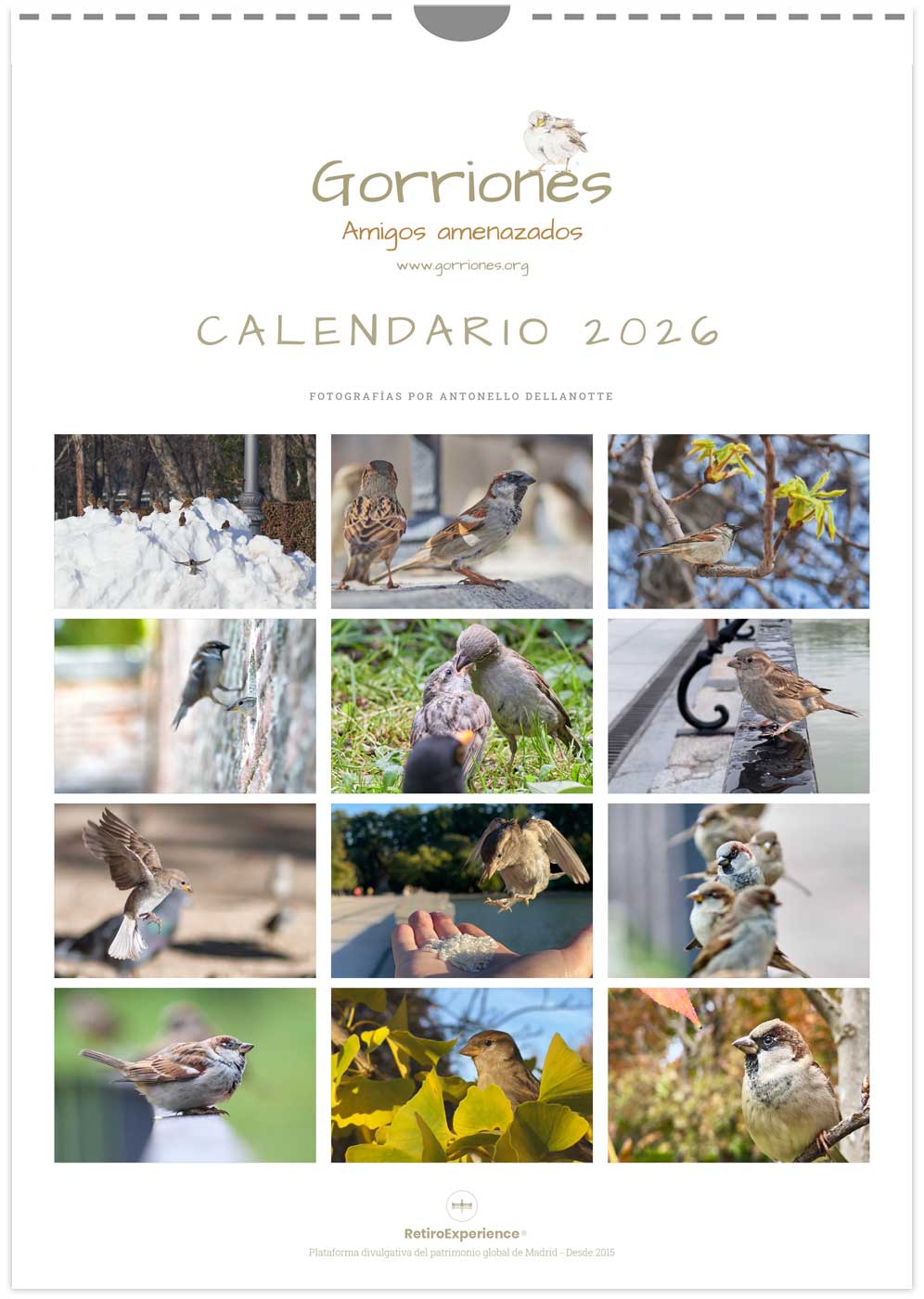 Calendario Gorriones.org 2026